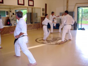 Practice at Lake Forest Shotokan Karate