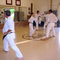 a typical practice at Lake Forest Shotokan Karate Dojo