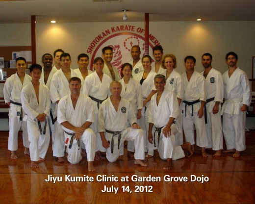 Jiyu-Kumite-Clinic-120714